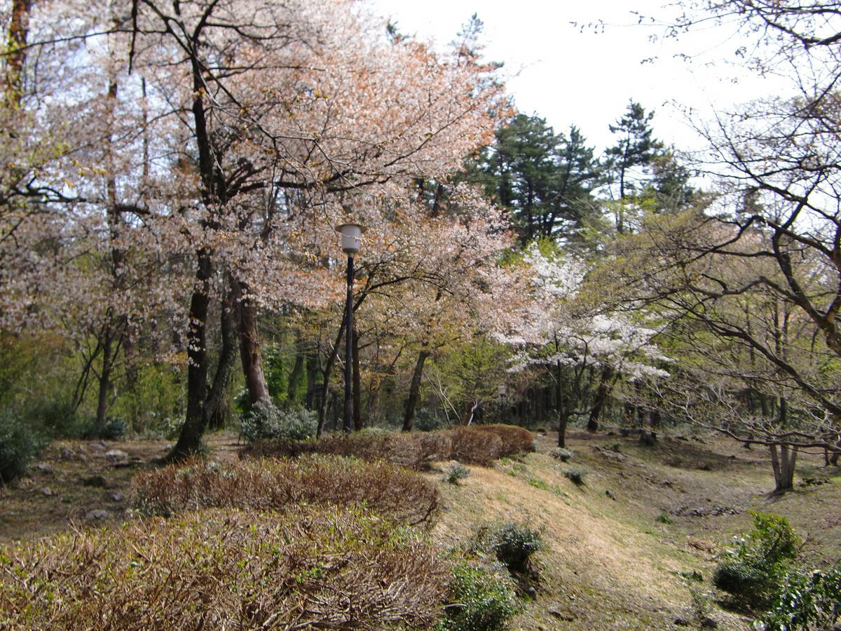 大山Hale Makawao住宿加早餐旅馆 外观 照片
