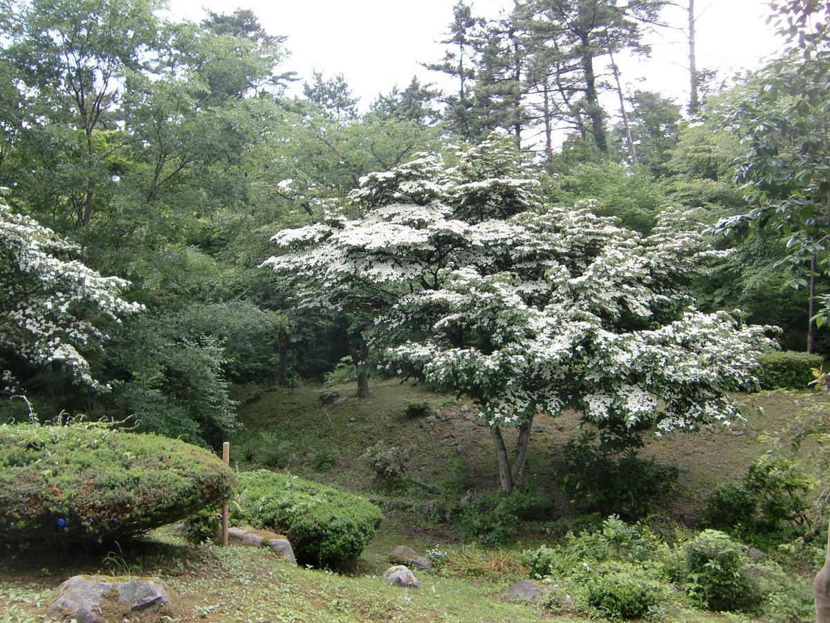 大山Hale Makawao住宿加早餐旅馆 外观 照片
